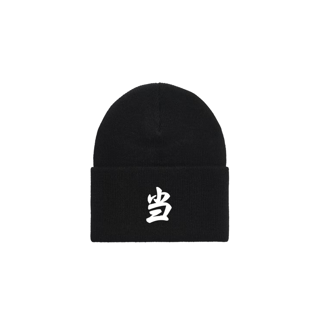 ASPHALT BLACK BEANIE